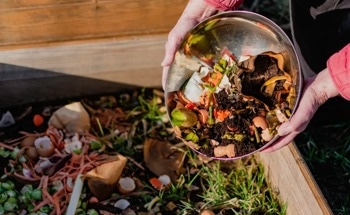Revolutionizing Waste Management: Insect-Driven Bioconversion
