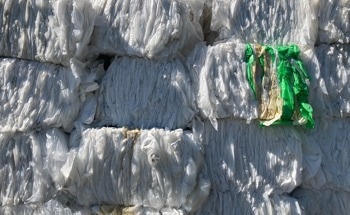 Turning Dairy Waste into Sustainable Plastics