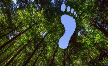 Sustainable Growth in India: The Impact of Manufacturing Relocation