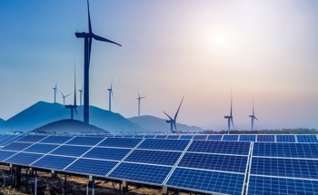 Scientists Weigh In: The True Impact of Wind and Solar on Biodiversity