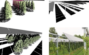 Smart Tracking Strategies for Balanced Energy and Crop Yields