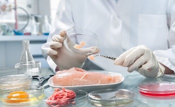 There’s Plenty of Pork on Chinese Forks, But the Environment is Paying a Heavy Price