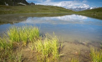 Unveiling the Dominance of Nonliving Carbon Pools in Terrestrial Sinks