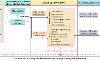 Microplastics Impair Photosynthesis in Freshwater, Marine, and Terrestrial Ecosystems