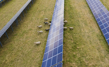 Natural Power Supports Octopus Solar Acquisition in France