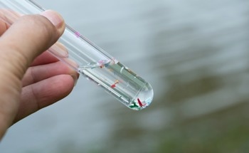 How Biodegradable Dendritic Colloids are Changing the Future of Microplastic Removal