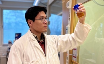 New Reusable Catalyst Converts Plant Biomass into High-Value Products
