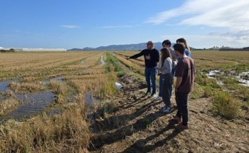 The GO STRAWMAT Project will Use Rice Straw by-Products as an Efficient and Sustainable Solution for the Construction and Renovation of Building