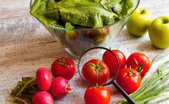AI-Powered Protein Production and Precision-Fermented Dairy from Fungi Feature in Latest ProVeg Startup Program