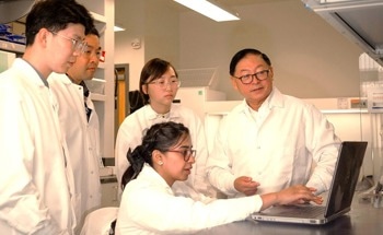 Economical Sugar Production from Corn Waste for Biofuels