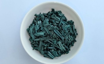 ScotBio Takes Algae from Pond to Plate with Development of Protein Product