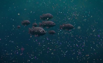 Global Analysis Reveals Alarming Spread of Microplastics in Ocean