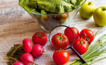 Converting Food Waste into Biochar Could Cut 93,000 Tonnes of CO2 Annually by 2030, New Study Shows