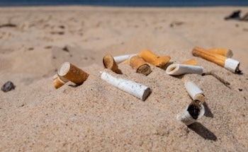 Cigarette Butts Could Power Renewable Energy