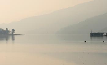 Ambition and Innovation Sought to Address Arrochar’s 'Litter Sink' Problem