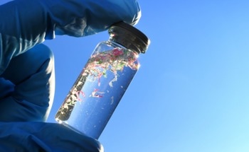 Microplastic Pollution Spreads Across Ecosystems, Study Finds