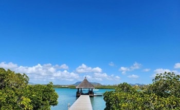 Scientists Highlight Coral Bleaching Threat in Mauritius in Latest Whitepaper