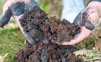 Biochar Conductivity Enhances Methane Emissions in Rice Cultivation