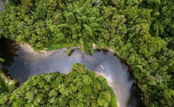Community Surveillance Enhances Amazon Conservation