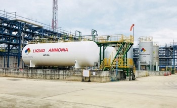 Eco-Friendly Nitrate to Ammonia Conversion with Trimetallic LDH Catalysts