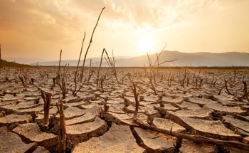 New Report: Urgent Action Required as Climate Tipping Points Are Reached