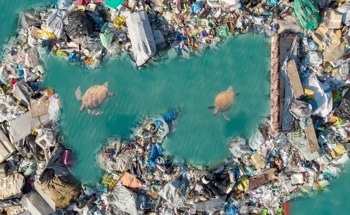 Plastics Dumped Today Will Pollute Oceans for 100 Years, New Model Warns