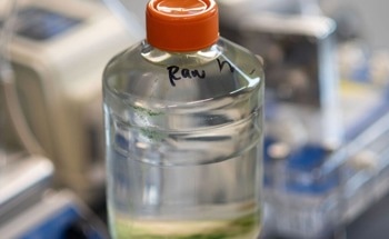 Simple Acidification Allows Use of Reclaimed Wastewater in Electrolyzers