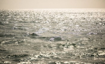 The Planet’s Natural Carbon Sinks are Reaching their Limits, According to New Report