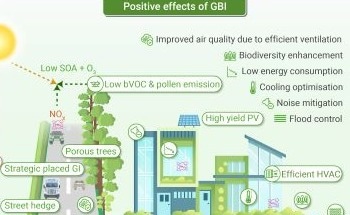 Cities Missing Out on Nature-Based Solutions That Could Boost Climate Resilience, Global Experts Warn