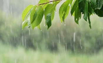 Transforming Rain into Power: The W-DEG Breakthrough