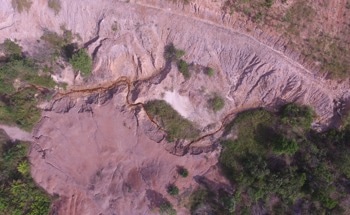 Old Mining Sites are Effective Carbon Sinks, Study Shows