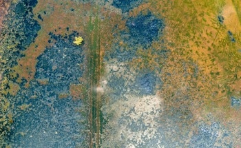 Naturally Formed Sludge Shows Surprising Power in Water Purification