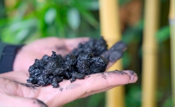 This Farm Waste Could Help China Cut Nearly Half of Its Cropland N₂O Emissions