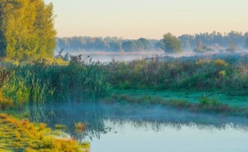 Citizen Scientists Are Transforming Wetland Restoration, New Study Shows