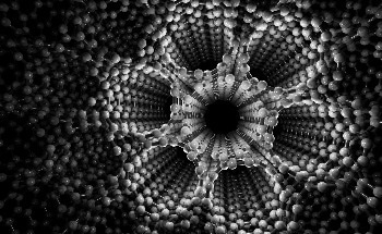 Planet First Registry Achieves Conditional Endorsement from ICROA for High-Integrity Carbon Removal Standard