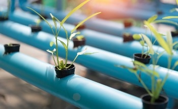 Anti-Insect and Anti-Rodent Plastic Technology is Essential to Farmers and Growers