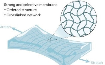 Delicate Membranes Given Super Strength to Transform Green Energy Tech