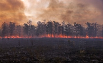 Shrinking Recovery Windows: Understanding Repeated Wildfire Smoke Exposure