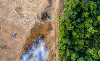New Research Exposes Global Impact of Agriculture on Forest Loss and Emissions