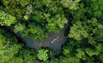 Low-Carbon Research Center Design Targets Biodiversity Loss in the Amazon