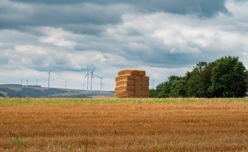 Agricultural Straw Can Help Reduce Greenhouse Gas Emissions