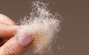 Ponda is Turning Restored Wetlands into Working Supply Chains — And Showing Fashion How to Fund the Transition