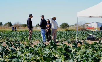 Growing More with Less Water in a Warming Mediterranean