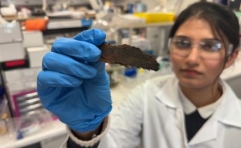 Tree Bark Could Help Clean Water and Air