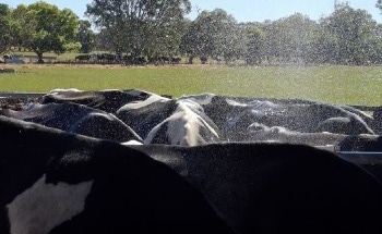New Project to Study How Things Are Heating Up in the Agriculture Industry