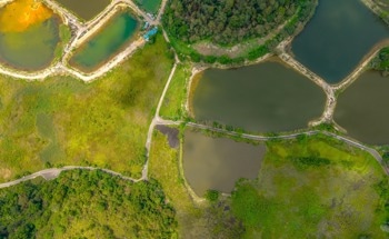 Solar Energy Could Be Generated Alongside Fish and Shrimp Farming