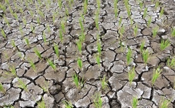 Study Finds High Impact Weather Disrupts China's Green Energy Systems