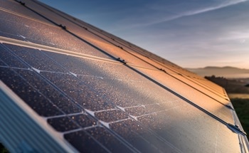 Thermal-Decoupled Selenization Unlocks Record-Efficiency Kesterite Solar Cells