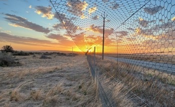 Australia’s Farmland at Risk of ‘Ecological Collapse’