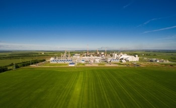 Scientists Turn Urine and Wood Ash into Green Ammonia and High-Value Fertilizer
